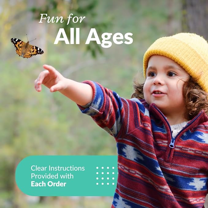 Clearwater Butterfly Live Painted Lady Butterflies - 5 Live Caterpillars - Live Caterpillars to Butterflies - Caterpillars for Butterfly Kit - Mesh Cage Not Included - Live Butterfly Kit - 5 Count