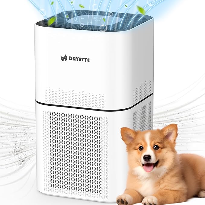 HEPA 14 Air Purifiers for Home Large Room Up to 2200ftΒ², DAYETTE Air Purifiers for Bedroom with Air Quality Sensor, Remove 99.97% of Dust, Odor, Pets Dander, Smoke