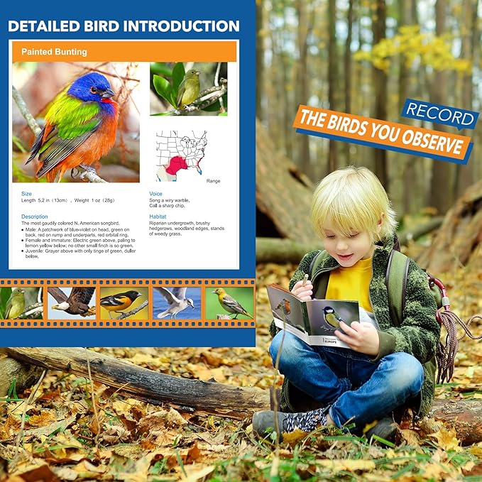 3-8 Year Old Boy Girl Toys: LET'S GO! Shockproof Binoculars for Kids Bird Watching 3 4 5 6 7 Year Old Boys Girls Outdoor Travel Toy for Kid Ages 4-7 Toddler Toy Binoculars