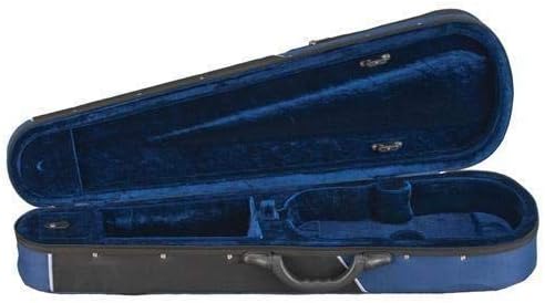 D Z Strad Violin Model 100 Full Size 4/4 with Solid Wood with Case, Bow, and Rosin