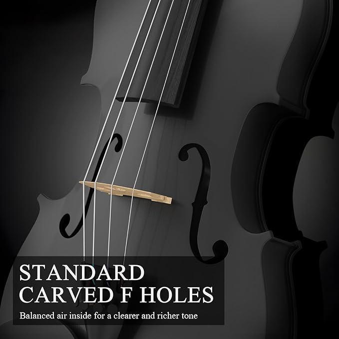 Beginner Violin 4/4, Full Size Violin for Adults, Teens, Student, Acoustic Fiddle Kit with Hard Case, Bow, Rosin, Bridge, Learners Age 12+ (Black)