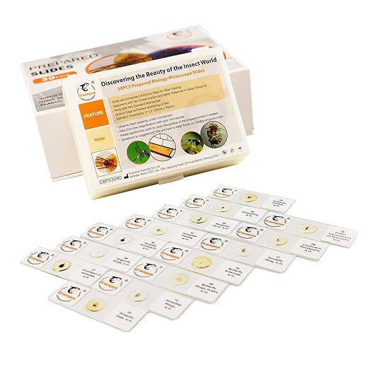 30 Prepared Microscope Slides with Specimens for Kids Students - Insects, for Biological Science Lab, Children's Science Education, Homeschooling Use