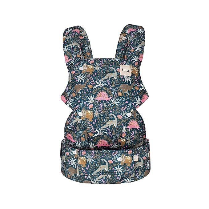 Baby Tula Explore Carriers - Breathable Baby Carrier Newborn to Toddler - Adjustable Toddler Carrier - Multiple Ergonomic Positions Front and Back - Ergonomic Fit for 7-45 lb - Mesh, Land Before