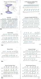 "Cheffort" 12 Hole Ocarina From Legend of,Alto C with Protective Bag,Buy ocarina,ocarina of time,Play by Link