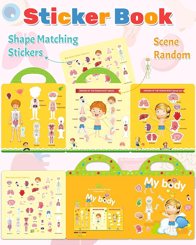 Benresive Reusable Sticker Book for Toddlers 2-4 Years, Fun Travel Stickers for Kids, Waterproof Sticker Books for Toddlers 1-3, Crafts Activities for Todddlers 1-3 2-4 3-5 - My Body