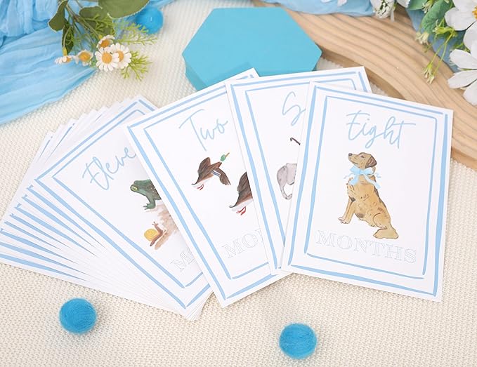 Boy Watercolor Milestone Cards - My First Monthly Milestone Cards,Blue Boy 12 Monthly Newborn Photos(Cards-1)