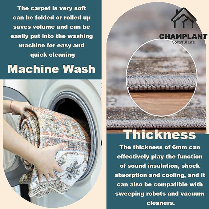 Area Rug 9x12 Washable Tangerine Vintage Traditional Mat Distressed Indoor Foldable Thin Retro Accent Floral Non Slip Carpet for Living Room Dining Room Office