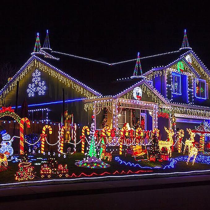 Color Changing Rope Lights 99FT 300 LED Outdoor, String Lights with Plug & Remote | Twinkle Christmas Indoor Bedroom, Waterproof Christmas Lights Outdoor, Rope Lights for Outside,16 Colors